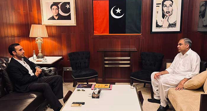 محسن نقوی کی بلاول بھٹو سے ملاقات، ملکی استحکام کیلئے ملکر کام کرنے کا عزم