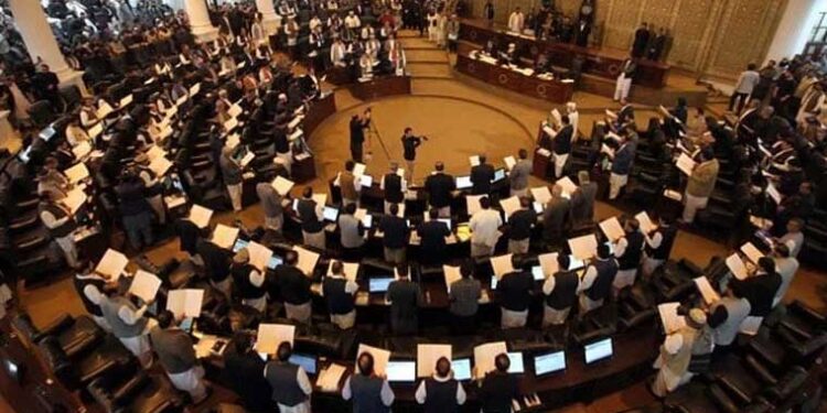 کے پی میں اضلاع کی سطح پر ویمن پروٹیکشن کمیٹیوں کیلئے خواتین ممبران کا اعلان