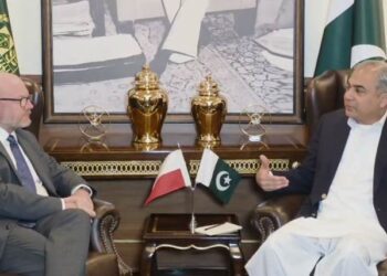 محسن نقوی سے پولینڈ کے نائب وزیر داخلہ کی ملاقات، دوطرفہ تعلقات پر گفتگو