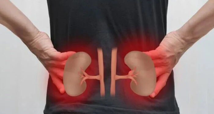 صبح اٹھنے کے بعد کی وہ 5 عادات جو گردوں کے امراض کا خطرہ بڑھاتی ہیں