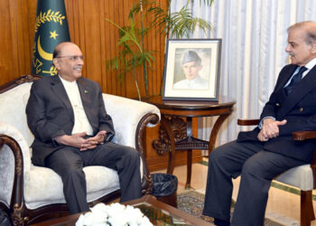 وزیر اعظم کی صدر آصف زرداری سے ملاقات، آزاد کشمیر میں حکومت سازی پر بات چیت