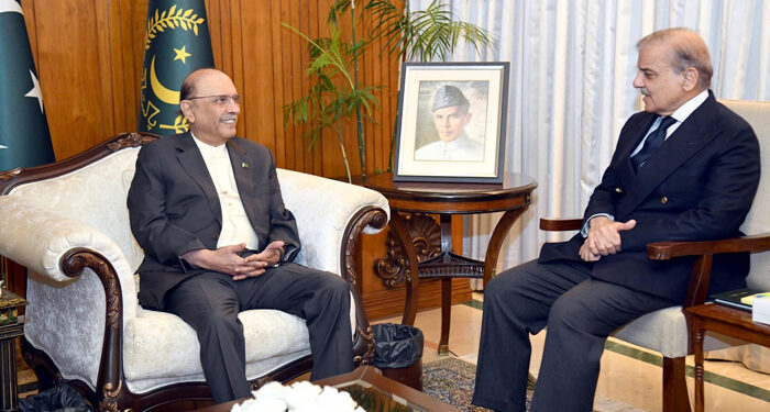 وزیر اعظم کی صدر آصف زرداری سے ملاقات، آزاد کشمیر میں حکومت سازی پر بات چیت