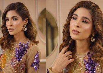 انڈسٹری میں بہت سے مرد حضرات نے حد سے تجاوز کرنے کی کوشش کی-عائشہ عمر کا انکشاف