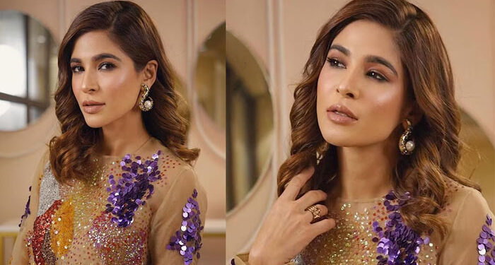 انڈسٹری میں بہت سے مرد حضرات نے حد سے تجاوز کرنے کی کوشش کی-عائشہ عمر کا انکشاف