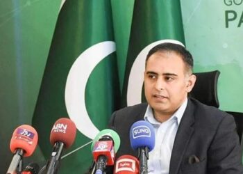 پیپلزپارٹی کہیں نہیں جارہی، اتحاد چلتا رہے گا: بلال اظہر کیانی