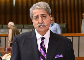 مریم نواز کے بیان کیخلاف پیپلز پارٹی کا قومی اسمبلی اجلاس سے واک آؤٹ