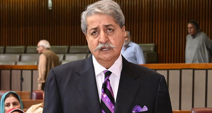 مریم نواز کے بیان کیخلاف پیپلز پارٹی کا قومی اسمبلی اجلاس سے واک آؤٹ