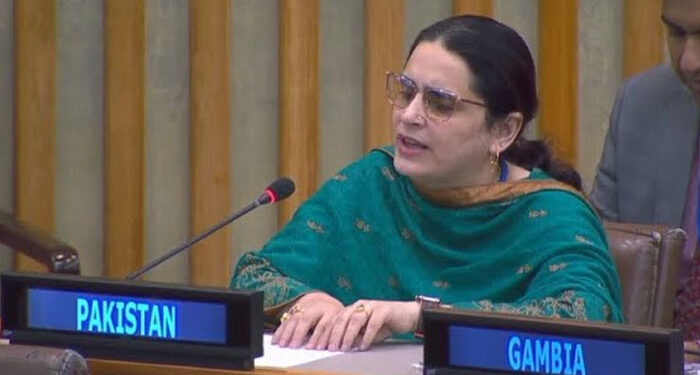 تعصب کی آگ نام نہاد سیکولر بھارت کےنقاب کو جلاچکی: یو این میں پاکستانی مندوب کا بھارت کو کرارا جواب