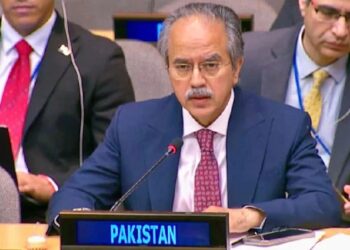 یو این جنرل اسمبلی میں پاکستان کا روہنگیا مسلمانوں کی محفوظ واپسی کا مطالبہ