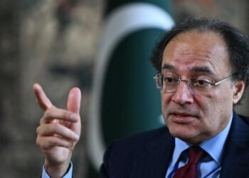 آئی ایم ایف پاکستان پر قومی مفاد کے خلاف کوئی شرط عائد نہیں کر سکتا: وزیر خزانہ