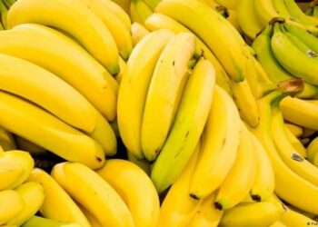 "کیلا- دل، دماغ، جلد اور توانائی کا محافظ پھل”