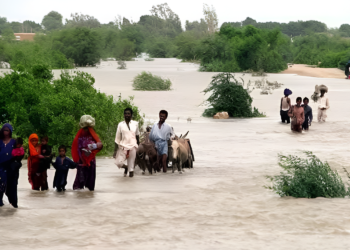 سیلاب متاثرین کو امدای رقوم دینے کی تیاریاں مکمل کرلی گئیں