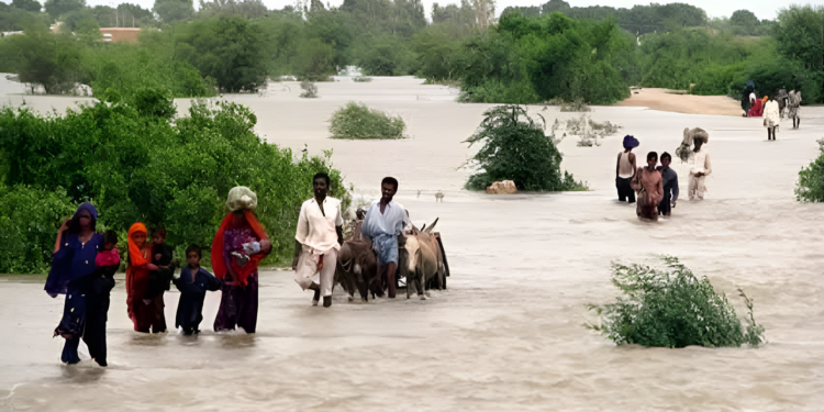 سیلاب متاثرین کو امدای رقوم دینے کی تیاریاں مکمل کرلی گئیں