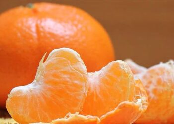 مالٹا — سردیوں کا سنہری تحفہ، صحت کا خزانہ