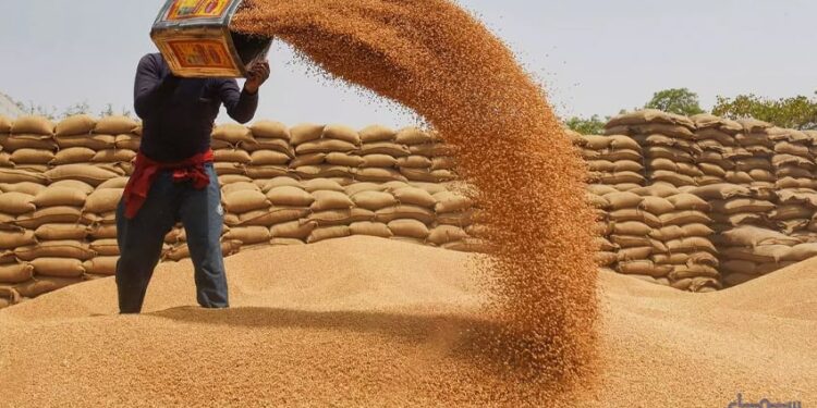 وفاقی حکومت نے گندم پالیسی 26-2025ء کی منظوری دے دی