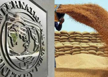 آئی ایم ایف کاگندم پالیسی پر اعتراض، پاکستان نے تحفظات دور کردیے