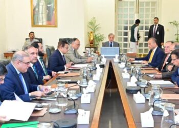 وزیراعظم شہباز شریف کی آئندہ مون سون کے نقصانات سے بچاؤ کے لیے حفاظتی تیاریوں کی ہدایت