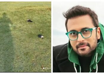 بلال مقصود نے سوشل میڈیا پر کراچی کے پارک میں موجود مردہ کوؤں کی ویڈیو شیئر کردی، یہ ماجرا کیا ہے؟