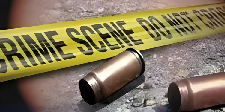 رحیم یار خان/ڈکیتی کے دوران اہل علاقہ اور ڈاکوؤں کے درمیان فائرنگ، 2 بھائی جاں بحق