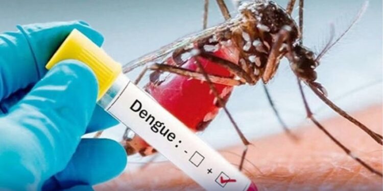 اسلام آباد میں 24 گھنٹوں کےدوران 23 نئے ڈینگی کیسزرپورٹ ہوئے، ضلعی انتظامیہ