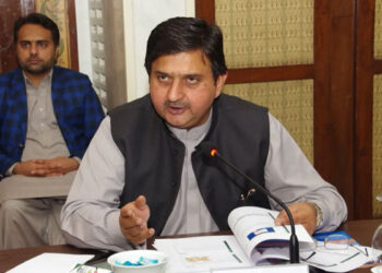 ٹی ایل پی پر پابندی اچھی بات ہے، کسی دہشتگرد تنظیم سے بات نہیں کرنی چاہیے: اسپیکر پنجاب اسمبلی