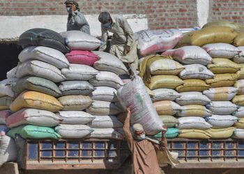 پاکستان کی بنگلادیش کو ایک لاکھ ٹن چاول برآمد کرنےکیلئے تیاریاں شروع