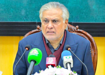 امارات کے ایک ارب ڈالر رول اوور کرنے تھے، اب وہ فوجی فاؤنڈیشن گروپ کے کچھ شیئر لے گا: نائب وزیراعظم