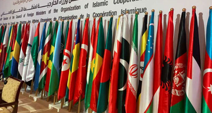 اسرائیل کا صومالی لینڈ کو تسلیم کرنا عالمی امن کیلئے شدید خطرہ ہے: اسلامی ممالک کا مشترکہ اعلامیہ