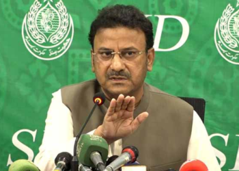 کراچی میں بھتہ خور بچوں اور بیروزگاروں کو استعمال کررہے ہیں: وزیر داخلہ کا انکشاف