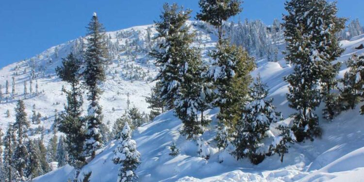 خیبر پختونخوا، آزاد کشمیر اور گلگت بلتستان میں برفباری، وادیاں برف سے ڈھک گئیں