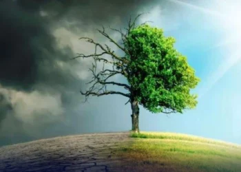 پاکستان پر 2025 بھاری گزرا، قدرتی آفات نے کئی علاقوں میں قیامت ڈھائی