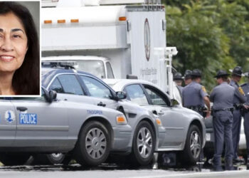 امریکا میں ٹریفک حادثہ، سابق سربراہ پاک فضائیہ نور خان کی بیٹی جاں بحق