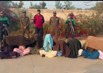 رحیم یارخان: کچے میں ٹارگٹڈ آپریشن، سیکھانی اور کوش گینگ کے 10 ڈاکوؤں نے ہتھیار ڈال دیے