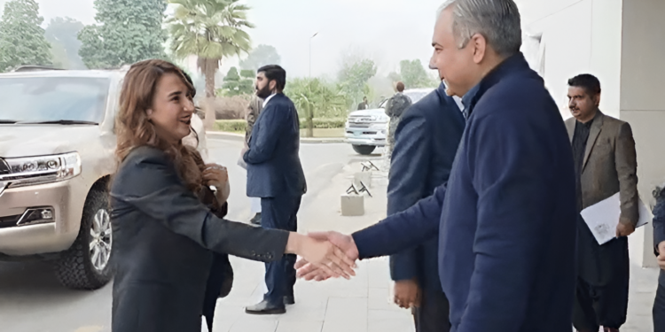 پاکستان اور امریکا کا دوطرفہ سکیورٹی تعاون و بارڈر مینجمنٹ میں اشتراک بڑھانے پر اتفاق