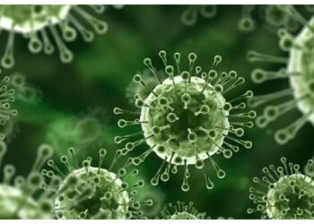 نیپاہ وائرس کیسے پھیلتا ہے اور اسکی علامات کیا ہیں؟ محکمہ صحت کی ایڈوائزری جاری