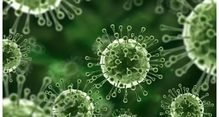 نیپاہ وائرس کیسے پھیلتا ہے اور اسکی علامات کیا ہیں؟ محکمہ صحت کی ایڈوائزری جاری