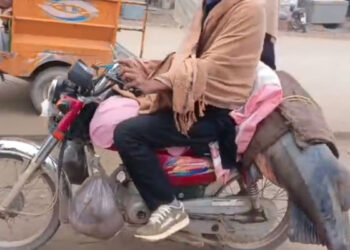 شکرگڑھ کے مچھیرے نے دریائے راوی سے 102کلو وزنی مچھلی پکڑ لی