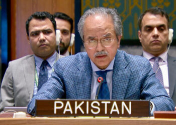 پاکستان نے مسئلہ فلسطین کو مشرق وسطیٰ میں عدم استحکام کی بنیادی وجہ قرار دیدیا، جبری نقل مکانی ناقابل قبول قرار