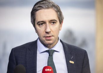 غزہ امن بورڈ میں سنگین خطرات کی نشانیاں دیکھ رہے ہیں: نائب وزیر اعظم آئرلینڈ