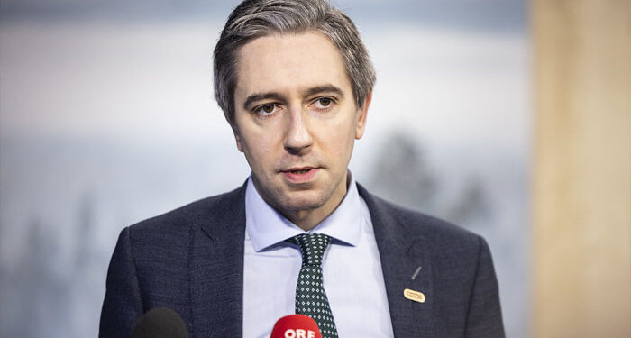 غزہ امن بورڈ میں سنگین خطرات کی نشانیاں دیکھ رہے ہیں: نائب وزیر اعظم آئرلینڈ