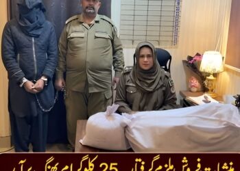 لیہ:تھانہ کروڑ لعل عیسن سب انسپکٹر لاریب نذر کی ٹیم کے ہمراہ کاروائی