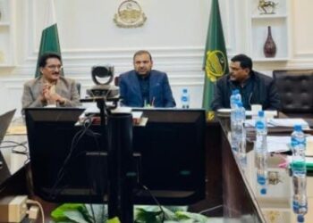 لیہ/ڈپٹی کمشنر آصف علی کی ضلع بھر میں گرین بیلٹس کی تزئین و آرائش اور بحالی کی ہدایت